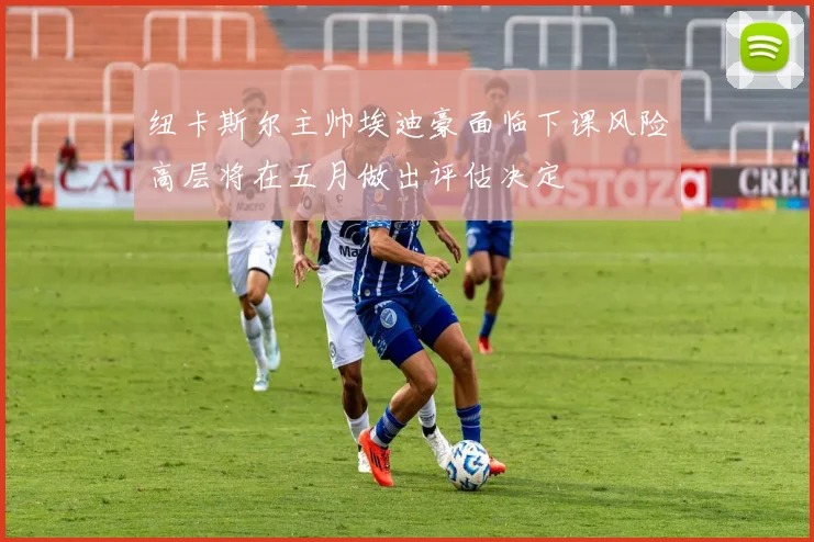 纽卡斯尔主帅埃迪豪面临下课风险高层将在五月做出评估决定