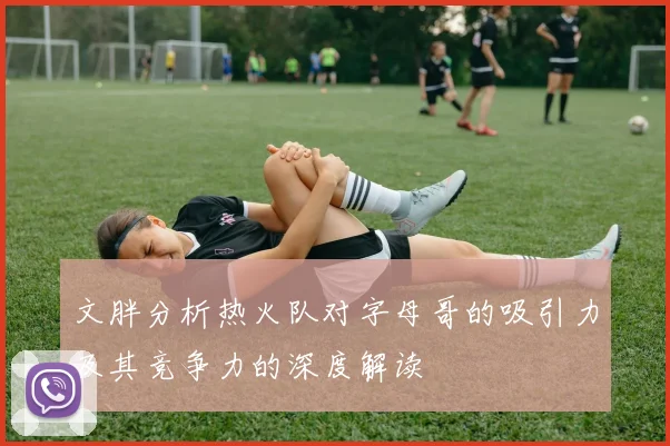 文胖分析热火队对字母哥的吸引力及其竞争力的深度解读